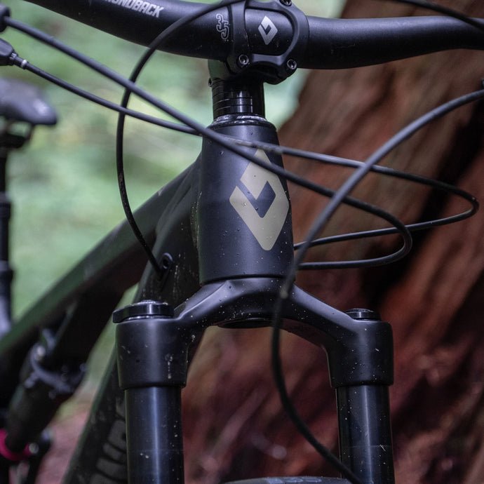 Diamondback bike detail