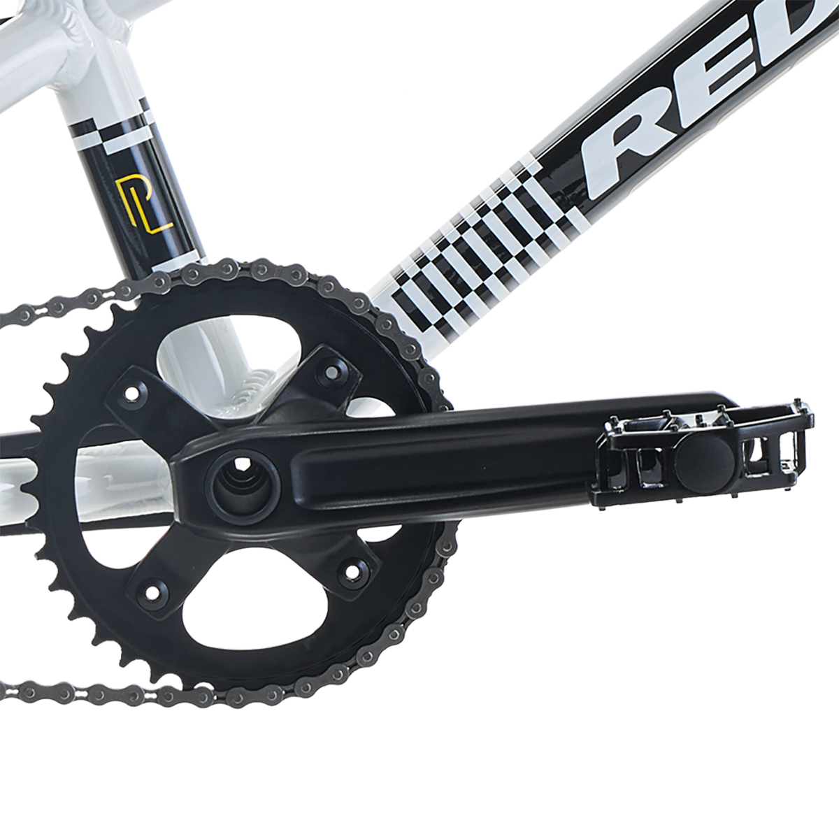 Proline Expert XL