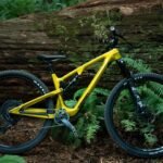 Yowie 5C